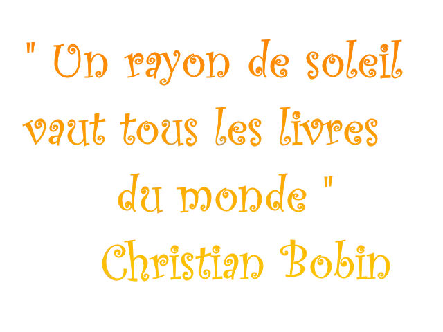 citation sur les mauvaises rencontres